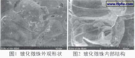 ?；⒅橥庥^形狀及內(nèi)部結(jié)構(gòu)